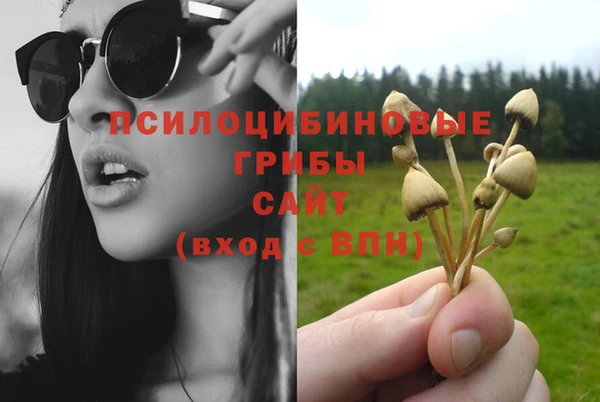 стафф Костерёво
