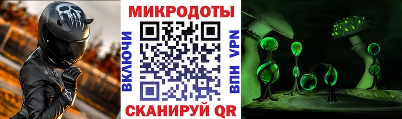 Купить закладки  Красноперекопск  Псилоцибиновые грибы Psilocybe 